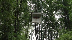 Schuetzenfest Galerie 1